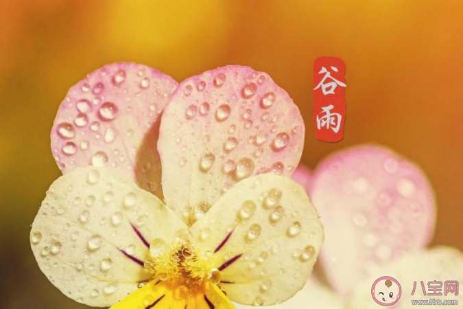 2021谷雨節(jié)氣一句話問候語說說 2021谷雨到了的祝福語朋友圈