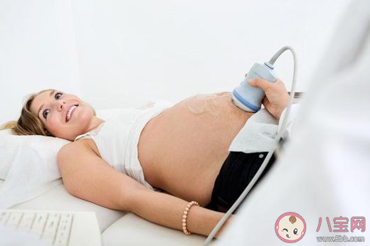 做超聲檢查時醫生為什么要在患者肚子上涂粘粘的東西 最新螞蟻莊園4月9日答案