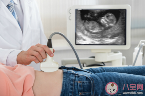 做超聲檢查時醫生為什么要在患者肚子上涂粘粘的東西 最新螞蟻莊園4月9日答案