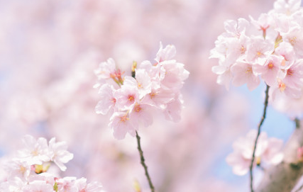 武漢重啟一周年朋友圈文案 武漢重啟一周年加油說說