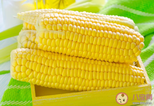 玉米價格創歷史新高是怎么回事 2021玉米為什么漲價了 玉米價格創歷史新高是怎么回事 2021玉米為什么漲價了