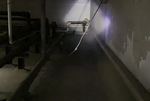 職業尋寵人是什么職業 職業尋寵人工作是怎樣的 職業尋寵人是什么職業 職業尋寵人工作是怎樣的