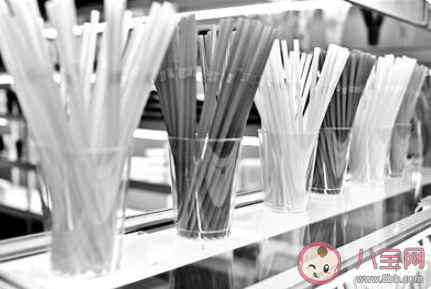 北京將禁用一次性塑料咖啡攪拌棒是真的嗎 塑料垃圾造成了哪些危害