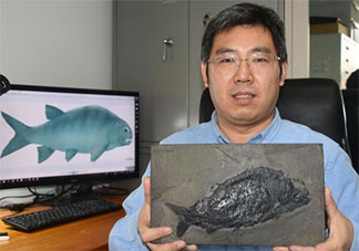 貴州發(fā)現(xiàn)2.44億年前大型盤州暴魚是怎么回事 盤州暴魚是什么物種