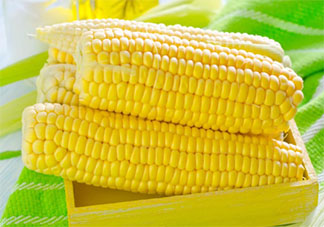 玉米價格創歷史新高是怎么回事 2021玉米為什么漲價了