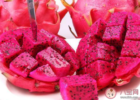 為何紅心火龍果比白心火龍果甜 螞蟻莊園4月10日答案