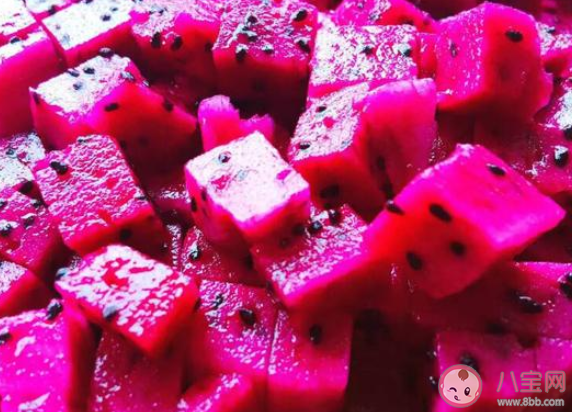 為何紅心火龍果比白心火龍果甜 螞蟻莊園4月10日答案