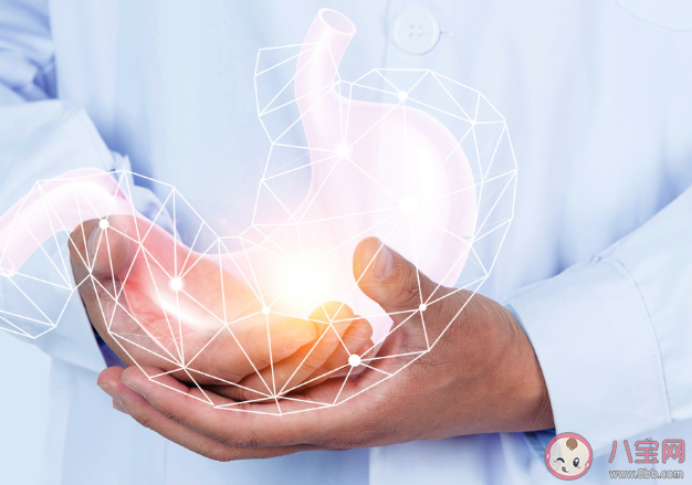 常見胃病癥狀有哪些 ?如何正確養胃護胃