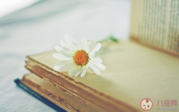 有哪些情感治愈系文案句子 高質(zhì)量情感治愈系走心的句子