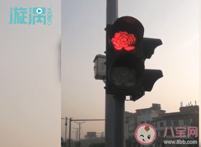 洛陽哪些地方紅綠燈變成牡丹形狀 牡丹花對洛陽有什么意義