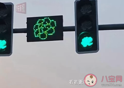 洛陽哪些地方紅綠燈變成牡丹形狀 牡丹花對洛陽有什么意義