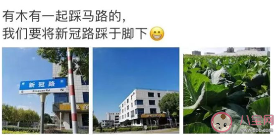 上海新冠路為什么火了 上海新冠路在哪里 上海新冠路為什么火了 上海新冠路在哪里