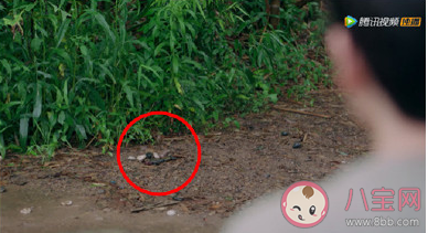 《長歌行》有哪些細節 長歌行精彩細節匯總