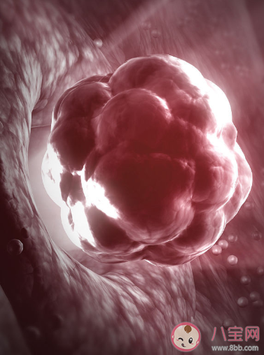 白帶沒有出現拉絲是不排卵嗎 白帶拉絲多久就會排卵