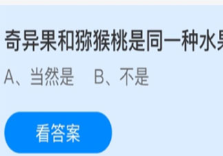 螞蟻莊園4月13日答案:奇異果和獼猴桃是同一種水果嗎