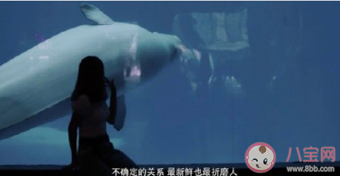 當我問媽媽不結婚可以嗎 媽媽對于不結婚的態度是怎樣的