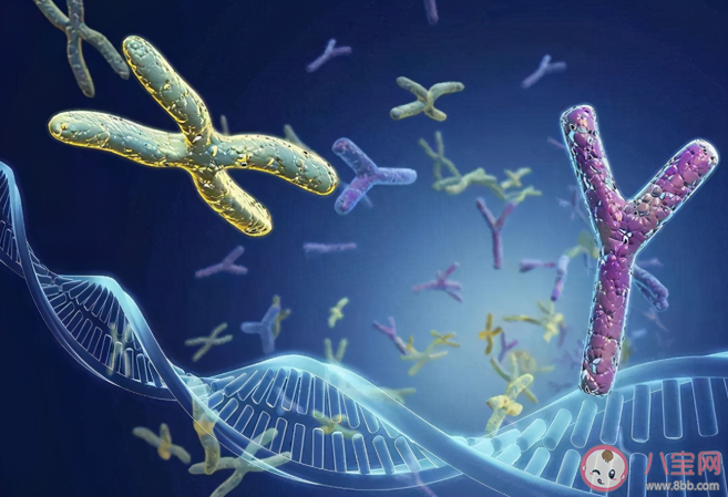 2021最新生男生女清宮圖 怎么看清宮表上懷孕是男還是女