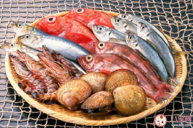 核污水排海后海鮮還可以吃嗎 核污水對(duì)人類有什么危害 核污水排海后海鮮還可以吃嗎 核污水對(duì)人類有什么危害