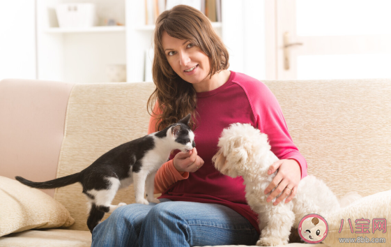 養(yǎng)貓會(huì)讓胎兒畸形嗎 ?懷孕養(yǎng)貓需要注意什么