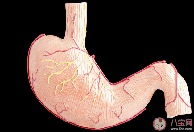 查出幽門螺桿菌要不要治療 檢查幽門螺桿菌感染有哪些方法