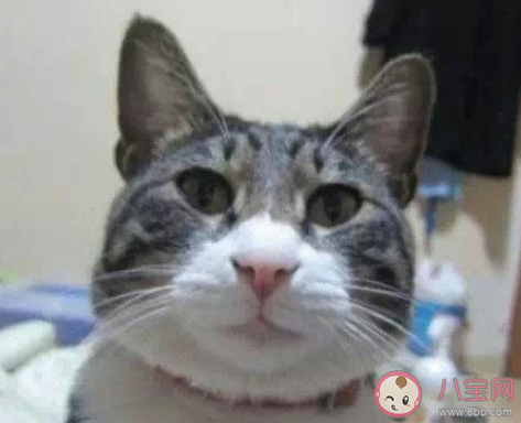 自拍錯發到公司群怎么辦 如何處理自拍發錯群了