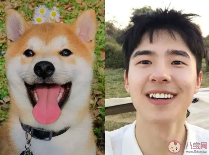 網(wǎng)絡(luò)用語狗塑是什么意思什么梗 狗塑為什么火了