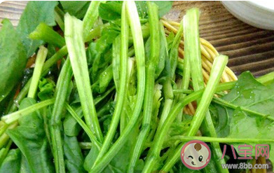 貧血就是身體里的血液量少了嗎 螞蟻莊園4月16日答案 貧血就是身體里的血液量少了嗎 螞蟻莊園4月16日答案