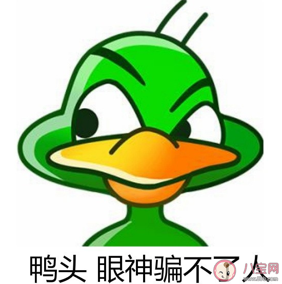 丫頭文學(xué)經(jīng)典語(yǔ)錄說(shuō)說(shuō) 丫頭文學(xué)經(jīng)典句子大全