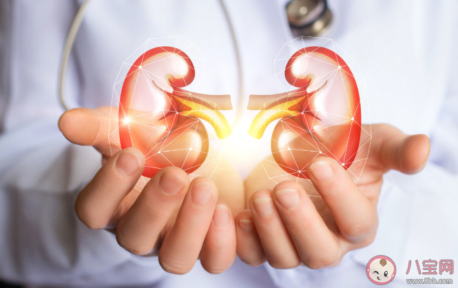 良性腫瘤和惡性腫瘤有什么不一樣 如何預(yù)防惡性腫瘤