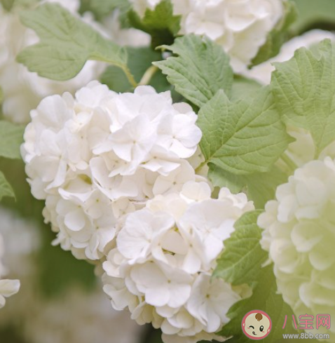 有哪些溫柔的神仙文案金句 溫柔到極點的神仙句子盤點 有哪些溫柔的神仙文案金句 溫柔到極點的神仙句子盤點