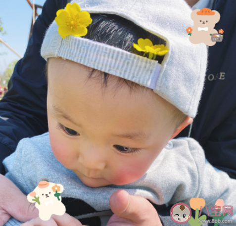 寶寶春游朋友圈一句話說說 帶寶寶春游發(fā)朋友圈短句 寶寶春游朋友圈一句話說說 帶寶寶春游發(fā)朋友圈短句