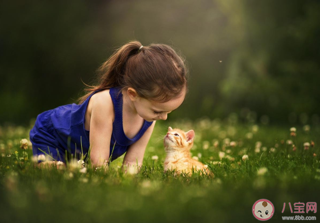 氣質(zhì)是用金錢堆出來的嗎 氣質(zhì)好的孩子是怎么養(yǎng)出來的