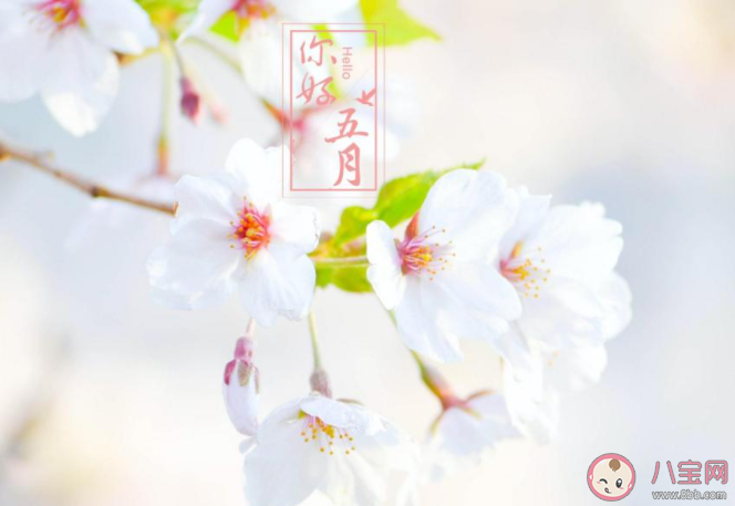 4月最后一天的心情句子 4月最后一天朋友圈說說