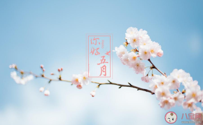 4月最后一天的心情句子 4月最后一天朋友圈說說