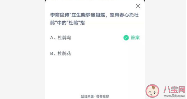 望帝春心托杜鵑是指杜鵑鳥還是杜鵑花 螞蟻莊園4月17日答案最新