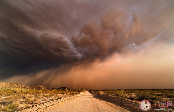 沙塵天氣對身體的危害有哪些 如何防止沙塵暴對身體的傷害