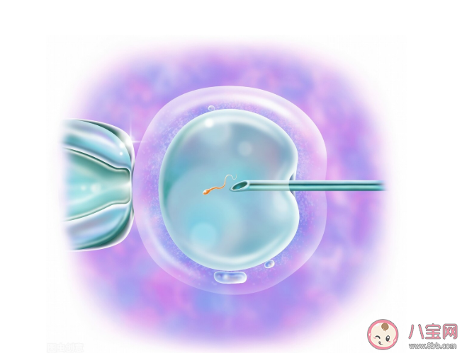 試管嬰兒移植成功后為什么有褐色分泌物 試管嬰兒移植后出現(xiàn)哪些反應(yīng)要重視