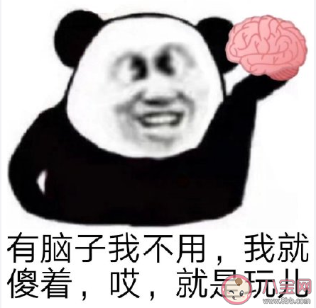 抖音哎就是玩兒是什么梗什么意思 就是玩兒梗出處來源是哪里