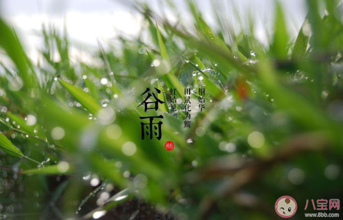 2021谷雨節氣養生要點是什么 谷雨節氣有什么禁忌