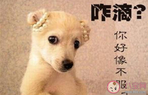 同事發脾氣該不該回懟 面對發脾氣的同事怎么辦