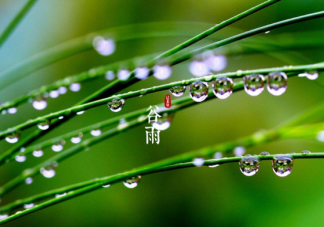 2021谷雨節(jié)氣養(yǎng)生要點是什么 谷雨節(jié)氣有什么禁忌