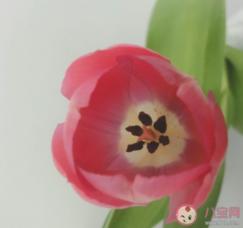 人生中最苦的日子是怎么熬過(guò)來(lái)的 該怎樣度過(guò)艱難的日子