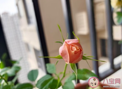 從哪一瞬間發現自己老了 覺得自己老了是什么感受 從哪一瞬間發現自己老了 覺得自己老了是什么感受