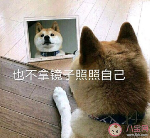 從哪一瞬間發現自己老了 覺得自己老了是什么感受 從哪一瞬間發現自己老了 覺得自己老了是什么感受