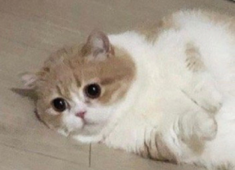 可以背后說甲方壞話嗎 對甲方不滿能不能吐槽