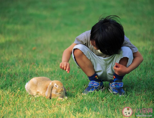 孩子幾歲好奇心強 怎么保護孩子的好奇心