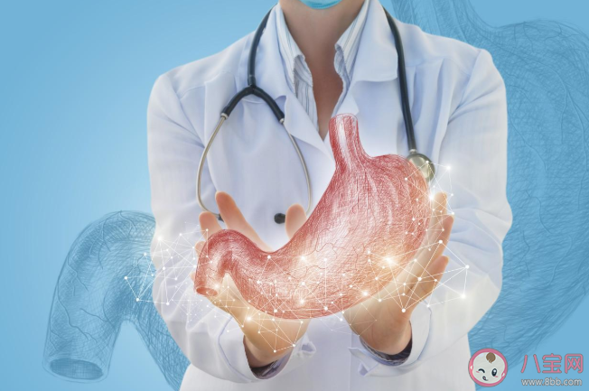 不同體質怎么選擇養胃食材 脾胃虛弱養胃食譜