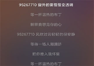 95267710是什么梗 95267710是哪首歌曲