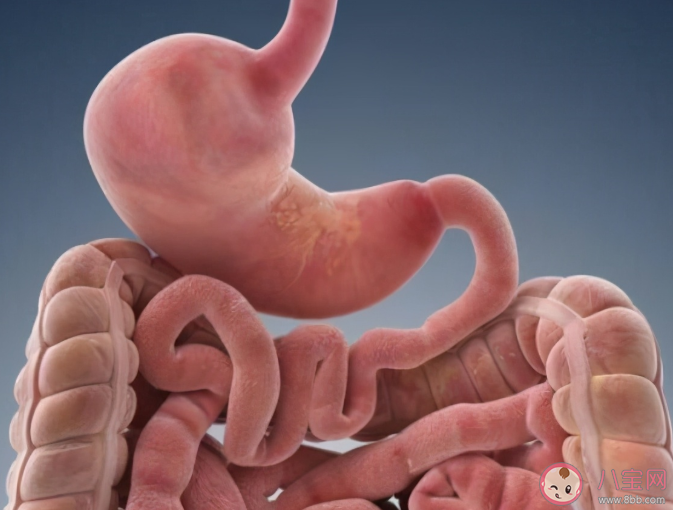 螞蟻莊園排宿便等于排毒說法靠譜嗎 4月29日正確答案