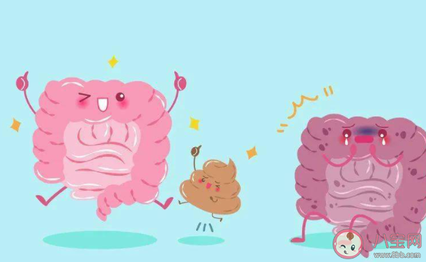 排宿便等于排毒說法靠譜嗎 螞蟻莊園今日4月29日答案